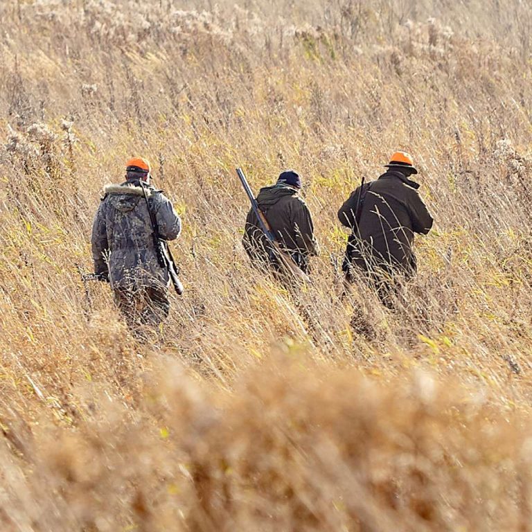 Eine Gruppe Jäger auf dem Feld