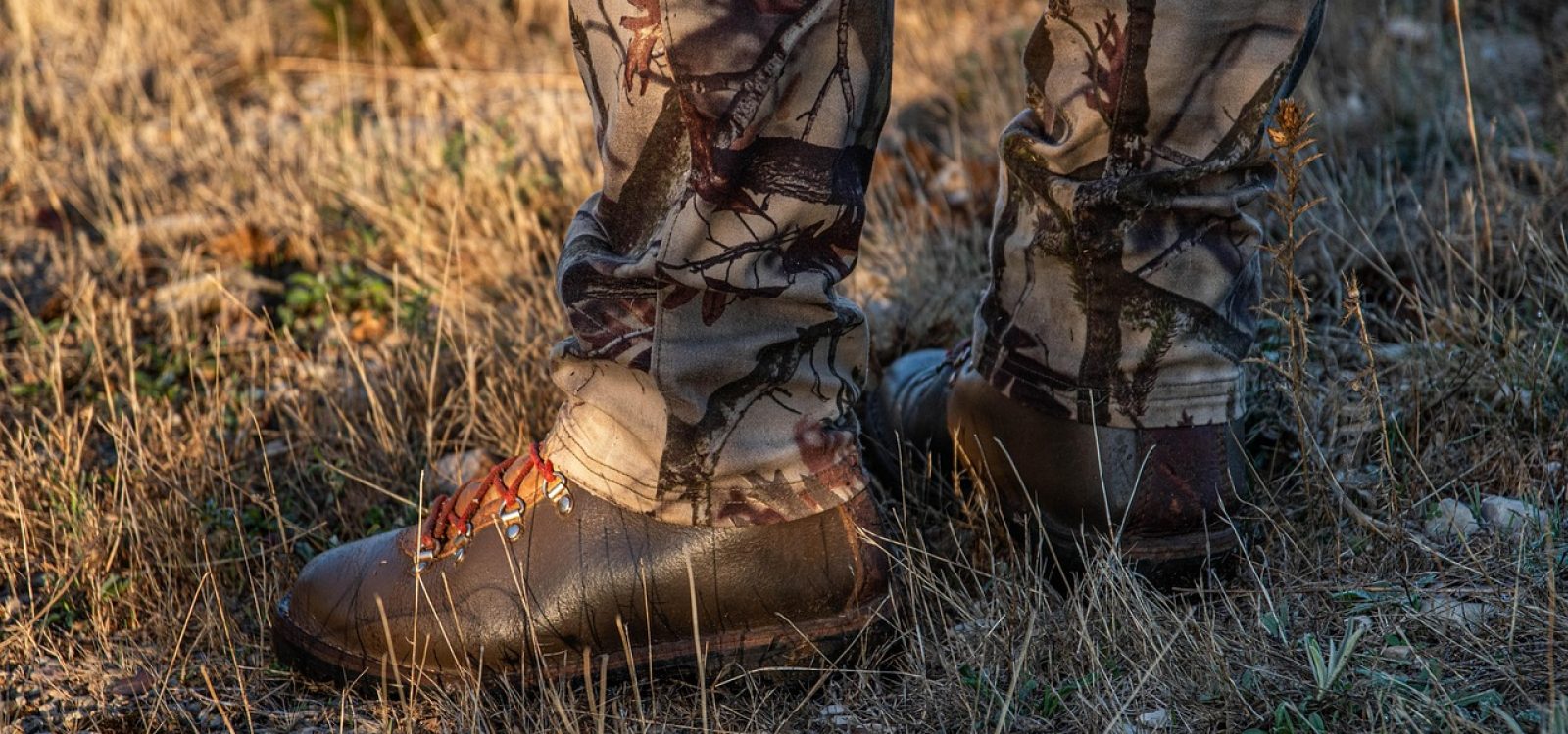 hunting-7448969_1280