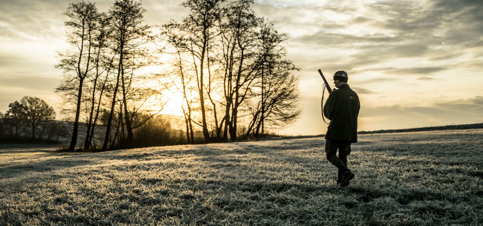 julian-hanslmaier-QcMedSj7g-o-unsplash