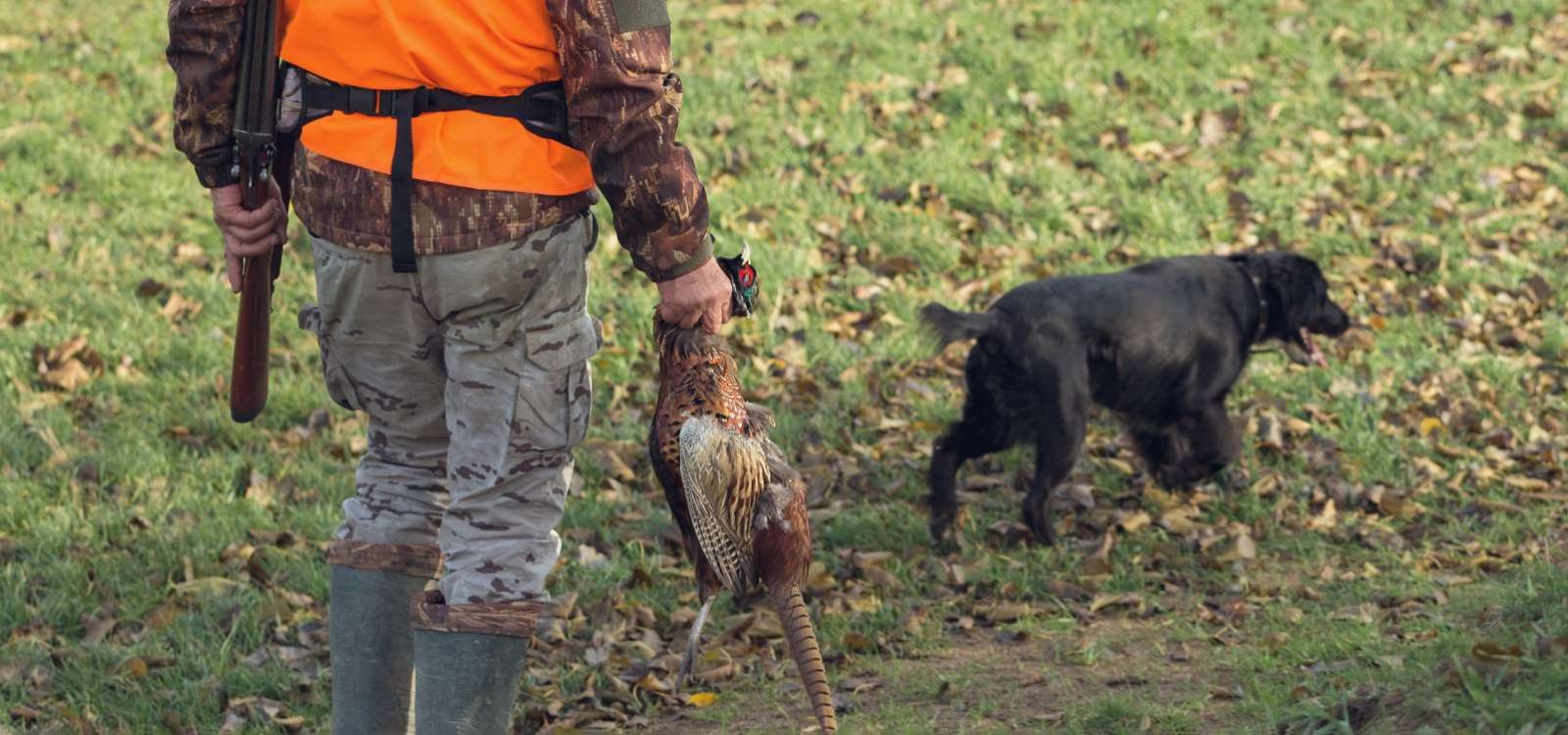 Ein Mann mit Jagdbekleidung und einer orangefarbenen Weste auf Fasanenjagd in einem Waldgebiet bei bewölktem Wetter. Ein Jäger mit einem Fasan in der Hand abgesichert durch Jagdunfallversicherungen der ARGE BW