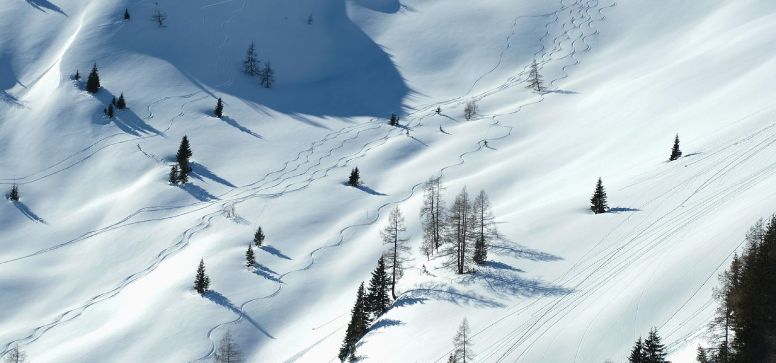 landscape-4012212_1280