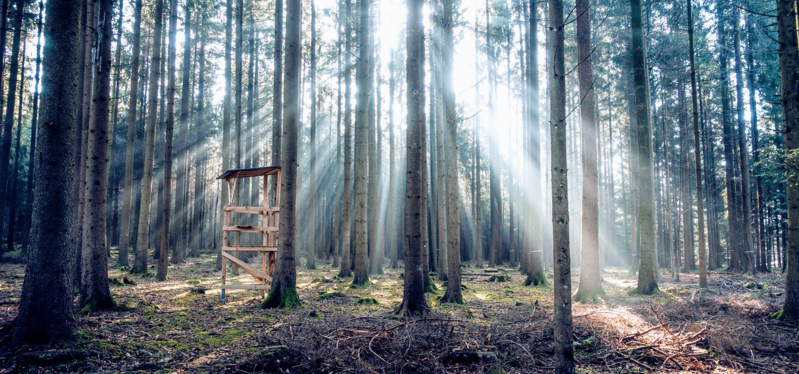 pascal-debrunner-PZoMDIOKPPQ-unsplash