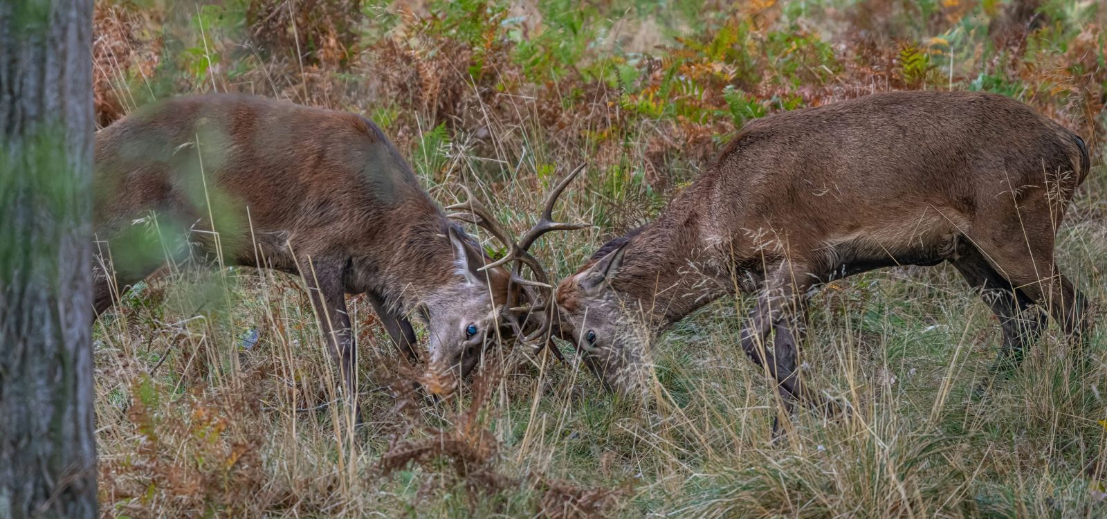 peter-burne-fBhrz0Qi6yo-unsplash