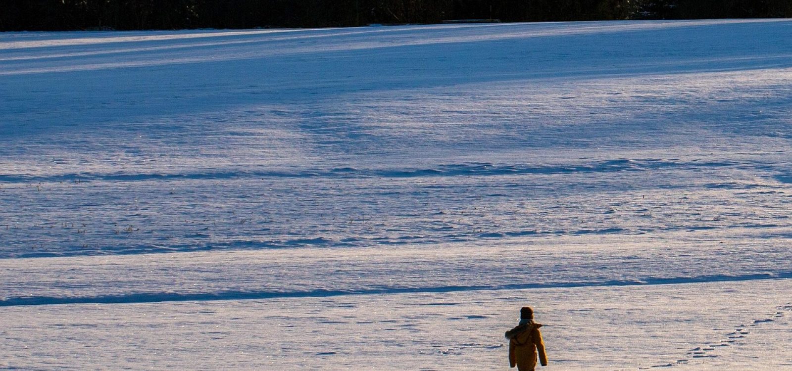 snow-tracks-6908757_1920